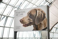 Billboard mockup, airport psd