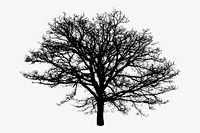 Tree silhouette, isolated botanical image psd