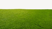 Grass field border collage element psd