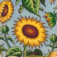 Sunflower pattern. Original from Smithsonian Institution. Digitally enhanced by rawpixel.