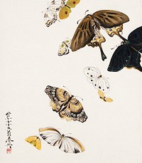 Lacquer paintings of various subjects: Butterflies (1881) by Shibata Zeshin. Original from the MET Museum. Digitally enhanced by rawpixel.