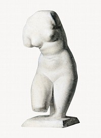 Female torso from plaster cast