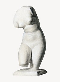 Female torso from plaster cast  psd