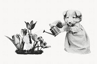 Dog watering tulips, black & white illustration