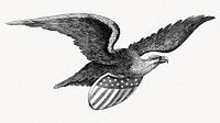 Vintage eagle carrying shield illustration