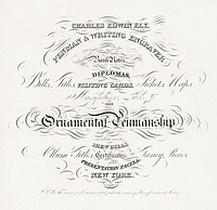 Charles Edwin Ely, penman & writing engraver will execute bank notes, diplomas. Original from the Library of Congress. Digitally enhanced by rawpixel.