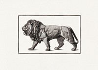 Lion (1870) by Elbridge Kingsley. Original from the Library of Congress. Digitally enhanced by rawpixel.