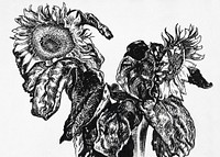 Sunflowers (1892) drawing in high resolution by Georges Lemmen. Original from The National Galley of Art. Digitally enhanced by rawpixel.