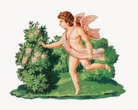 Vintage cupid, Valentine's illustration