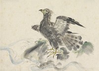 Roofvogel op rots, Utagawa Kuniyoshi (attributed to) (1808–1861) print in high resolution by Utagawa Kuniyoshi. Original from the Rijksmuseum. 