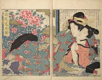 A Modern day "Clear Mirror" (1822) print in high resolution by Keisai Eisen. Original public domain image from the MET museum.