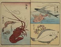 Utagawa Hiroshige (1849) Picture Book for the Practice of Drawing fish. Original public domain image from the MET museum.