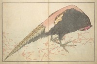 A Realistic Sketchbook by Hokusai (1814) by Katsushika Hokusai (1760&ndash;1849). Original from The MET Museum. 