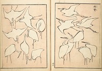 Transmitting the Spirit, Revealing Form of Things: Picture Album of Drawings at One Stroke (1823) by Katsushika Hokusai (1760–1849). Original from The MET Museum. 