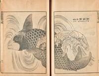 Transmitting the Spirit and Revealing the Form of Things: Hokusai's Sketchbooks (1849) in high resolution by Katsushika Hokusai. Original from The Minneapolis Institute of Art.