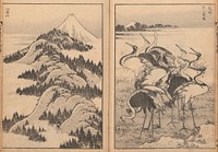 Hokusai's Mount Fuji of the Mists (Vol. 1); Mount Fuji of the Ascending Dragon (Vol. 2) (1834&ndash;35). Original public domain image from the MET museum.