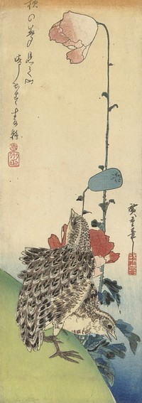 A Pair of Quails and Poppies (1835) by Utagawa Hiroshige. Original public domain image from the Rijksmuseum.