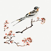 Swallow on a peach branch psd.  Remastered by rawpixel. 