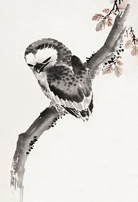 Katsushika Hokusai&rsquo;s Japanese owl, Album of Sketches (1760&ndash;1849) paintings. Original public domain image from The MET Museum.   Digitally enhanced by rawpixel.