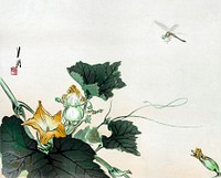 Dragonfly above a pumpkin blossom (1890-1920) vintage Ukiyo-e style by Ogata Gekkō. Original public domain image from the Library of Congress.   Digitally enhanced by rawpixel.