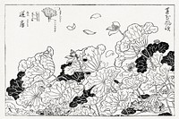 Japanese lotus (1715-1792) vintage woodcut by Tachibana Yasukun. Original public domain image from the Library of Congress.   Digitally enhanced by rawpixel.