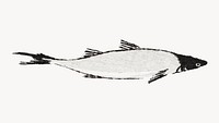 River trout fish desktop wallpaper, Japanese animal illustration.   Remastered by rawpixel. 
