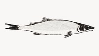 River trout fish desktop wallpaper, Japanese animal illustration.   Remastered by rawpixel. 