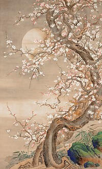 Japanese plum blossoms in moonlight (18th century) vintage ink and color on silk by Sō Shizan. Original public domain image from the Minneapolis Institute of Art.   Digitally enhanced by rawpixel.