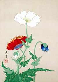 Japanese poppies (1845 - 1913) vintage ink and color on silk by Sakai Dōitsu. Original public domain image from the Minneapolis Institute of Art.   Digitally enhanced by rawpixel.