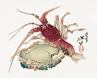 Lobster and Abalone (1880) by Tsukioka Yoshitoshi. Original public domain image from The Minneapolis Institute of Art.   Digitally enhanced by rawpixel.