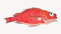 Red snapper fish, vintage Japanese illustration psd.   Remastered by rawpixel. 