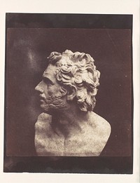 Bust of Patroclus (1843) photography in high resolution by William Henry Fox Talbot.