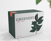 Eco paper box  mockup, editable design  psd