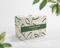 Eco paper box mockup psd, editable packaging design
