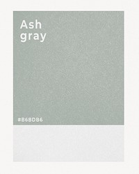 Color card, ash gray background