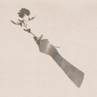 Aesthetic silhouette hand holding rose psd