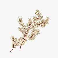 Leaf branch, botanical illustration psd