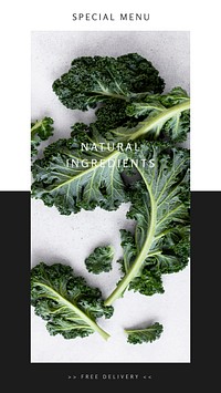 Natural ingredient Instagram story template, photo vector