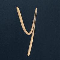 Calligraphy gold letter y typography font