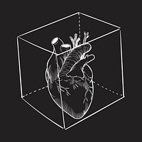 Heart in a box illustration psd