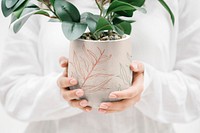 Houseplant pot mockup, editable design  psd