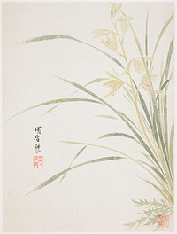 Epidendrum Blossom from a Flower Album of Ten Leaves (1656) painting in high resolution by Xiang Shengmo. Original from the Minneapolis Institute of Art. Digitally enhanced by rawpixel.. Original from the Minneapolis Institute of Art.