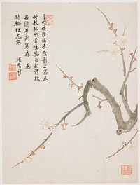 Blossoming plum from a Flower Album of Ten Leaves (1656) painting in high resolution by Xiang Shengmo. Original from the Minneapolis Institute of Art. Digitally enhanced by rawpixel.. Original from the Minneapolis Institute of Art.