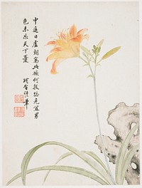 Day-Lily from a Flower Album of Ten Leaves (1656) painting in high resolution by Xiang Shengmo. Original from the Minneapolis Institute of Art. Digitally enhanced by rawpixel.. Original from the Minneapolis Institute of Art.