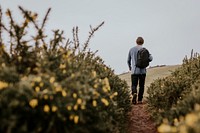 Man walking on hill, rear view