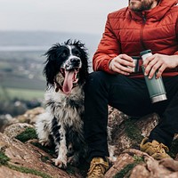 Man sitting with dog on mountain photo