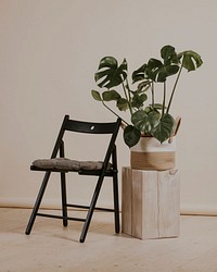 Aesthetic interior decoration, chair & houseplant photo