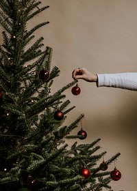 Hand decorating Christmas tree, festive photo