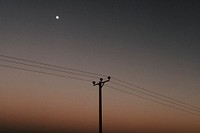 Electricity pole, sunset sky aesthetic