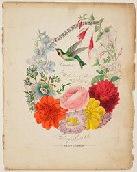 Presentation Page. Flower Garland and Humming Bird, from Flora's Dictionary (1838) painting in high resolution by Elizabeth Wirt. Original from the Minneapolis Institute of Art. Digitally enhanced by rawpixel.. Original from the Minneapolis Institute of Art.
